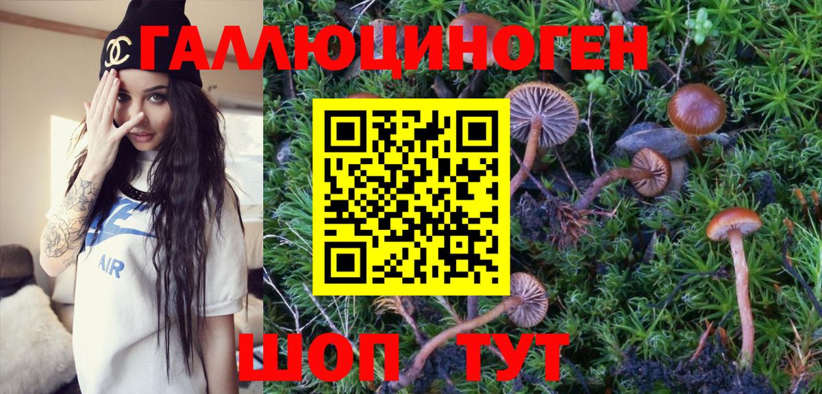 Галлюциногенные грибы Magic Shrooms  Вход с VPN  Прохладный 