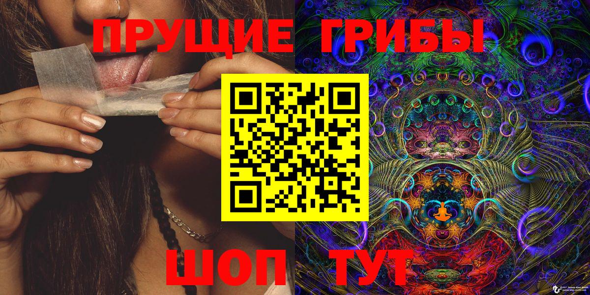 Псилоцибиновые грибы Psilocybine cubensis Прохладный